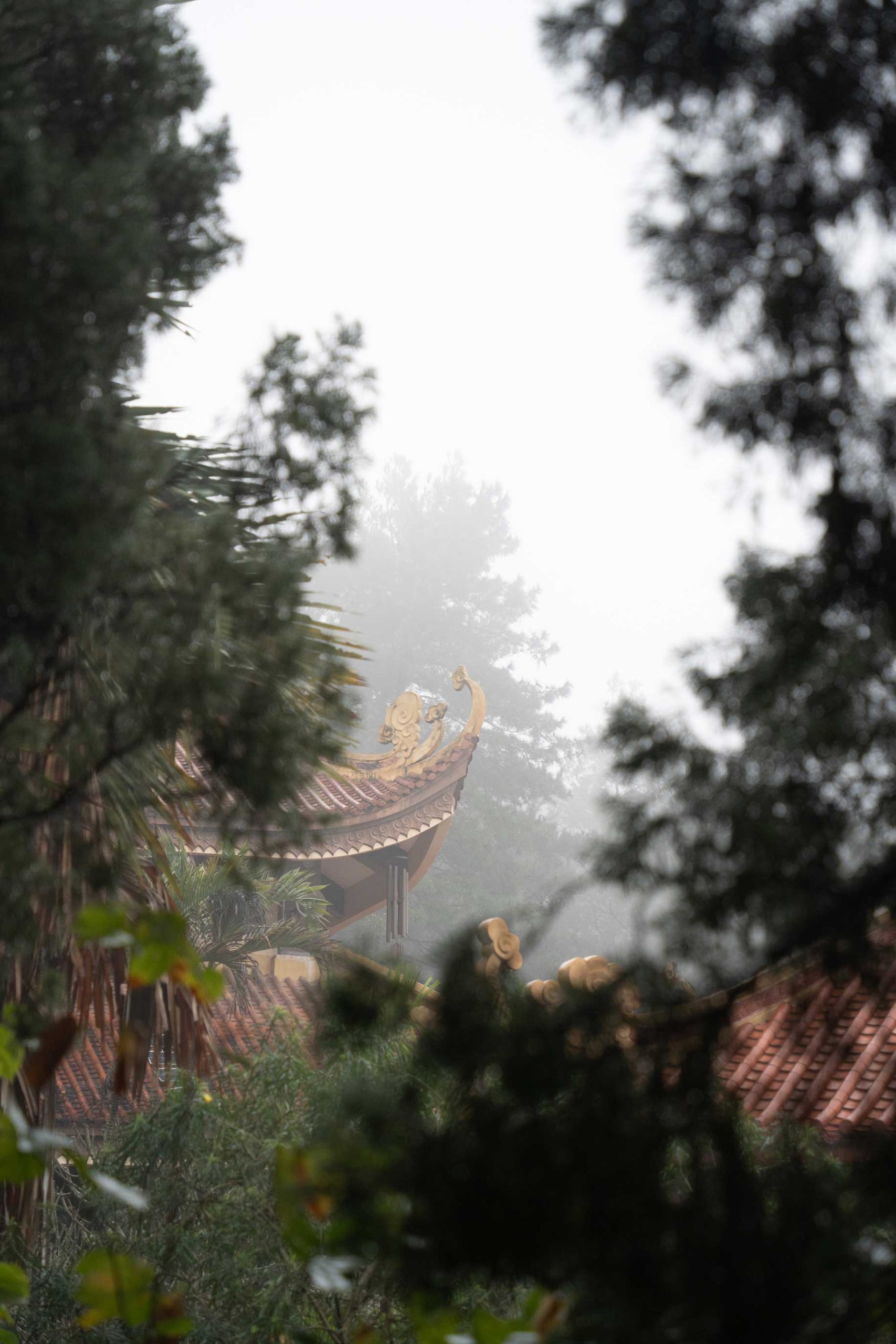 DSC09931-3